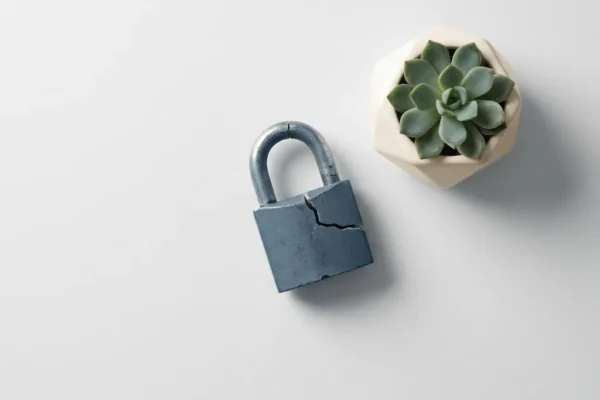 Gebarsten hangslot op wit bureau naast kleine vetplant, symboliseert digitale kwetsbaarheid en gegevensonveiligheid.