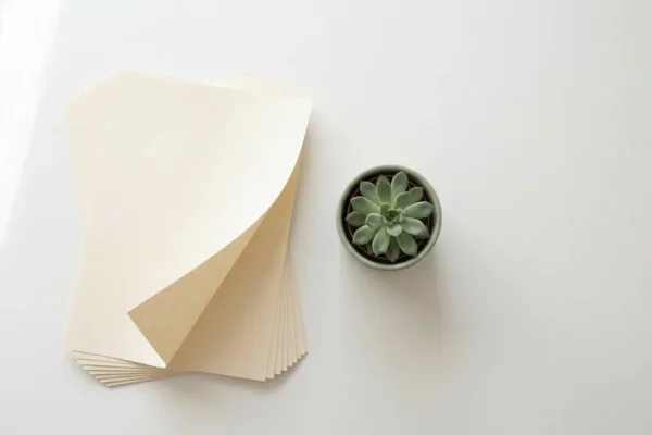 Gestapelde documenten uitgewaaierd op wit bureau naast klein groen plantje, minimale flatlay compositie in daglicht.