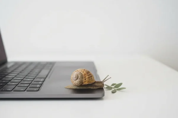 Slak op een laptoptoetsenbord op wit bureau, symbool voor trage digitale productiviteit.